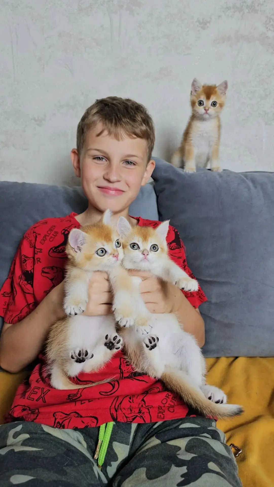 Сегодня день рождение у главного помогатора при съемках котят, кошек и котов. Этот чело...