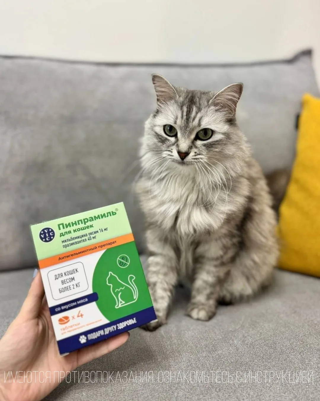 🐾 ПИНПРАМИЛЬ® — надёжная защита от паразитов для кошек и собак! 🐱🐕