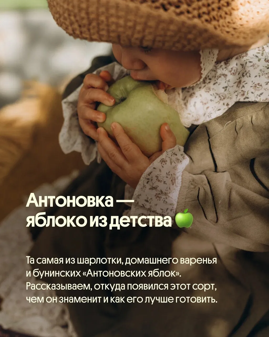 Новый урожай Антоновки уже собран 🍏