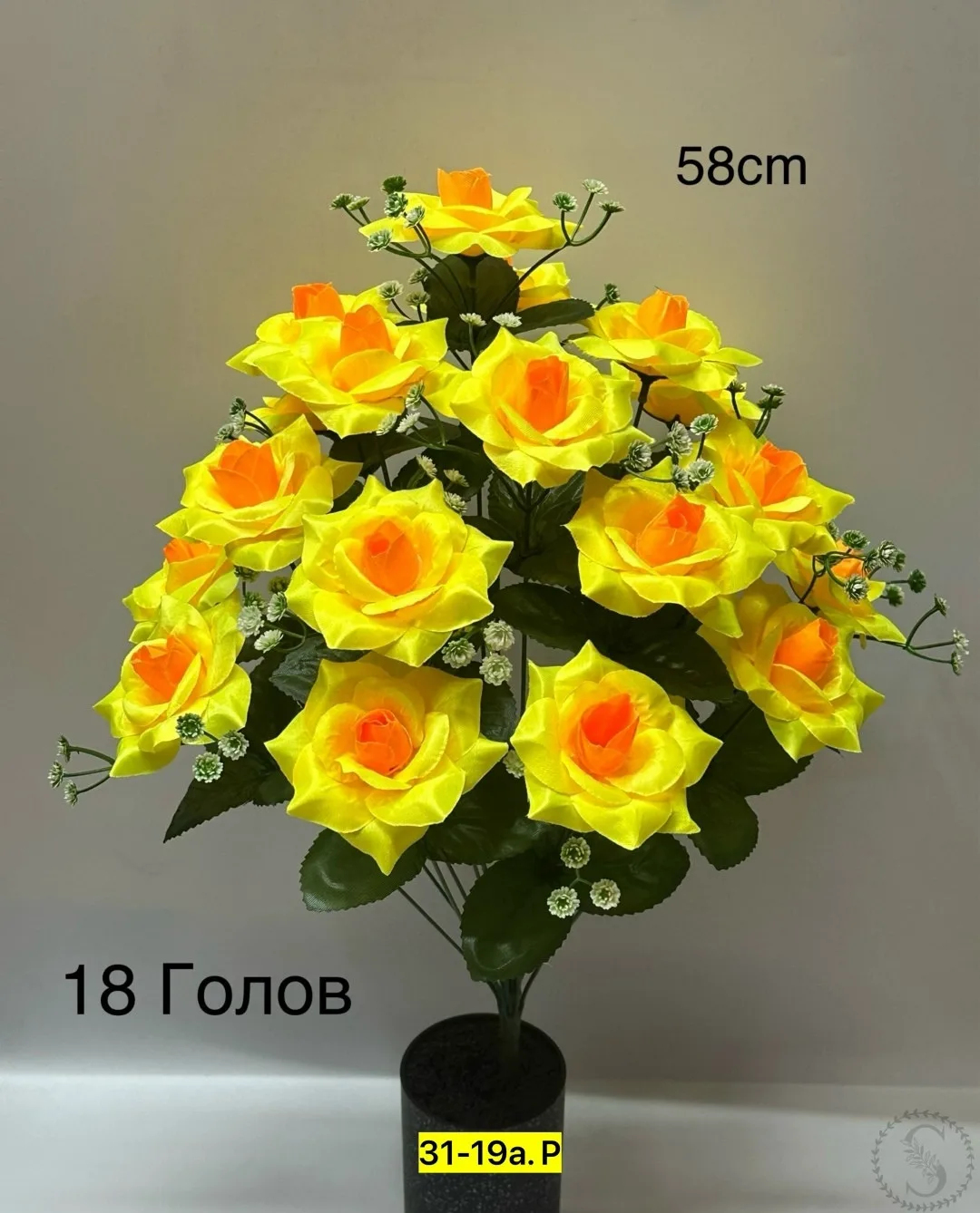 https://vk.com/photo-184814919_493305241