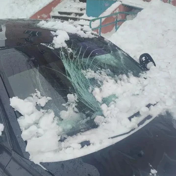 Снег на авто — не приговор, если за дело берётся профессионал! 🚘