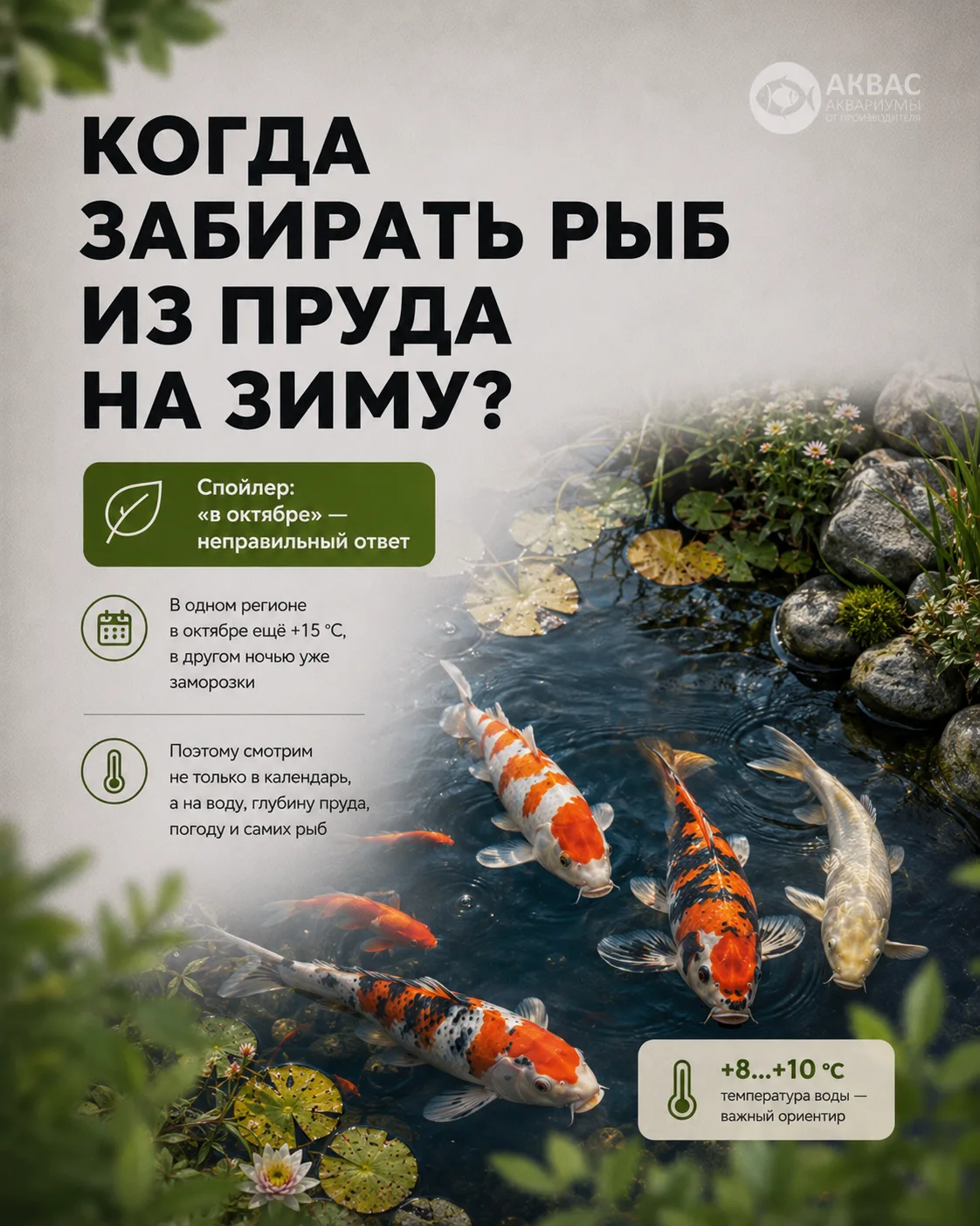 🐟 «Да ещё рано, вон днём тепло» — фраза, после которой осенью часто начинается рыбный ...