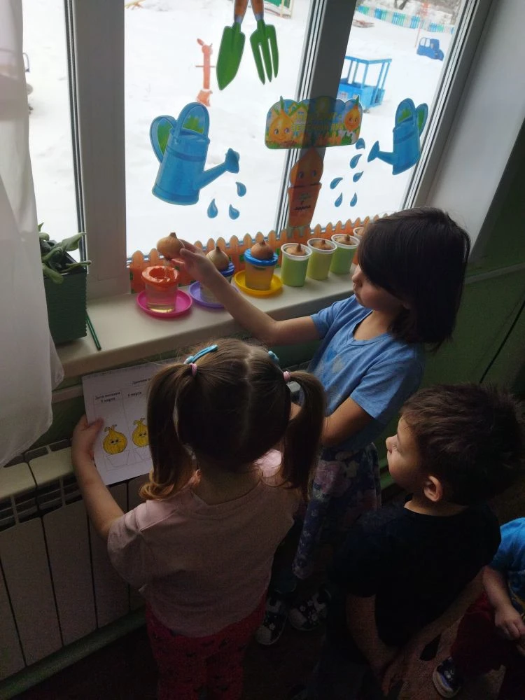 Дневник наблюдений за луком