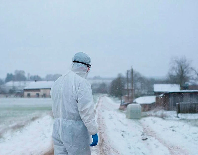 Управление ветеринарии Алтайского края локализовало очаги пастереллеза в Тальменском районе. Это опа