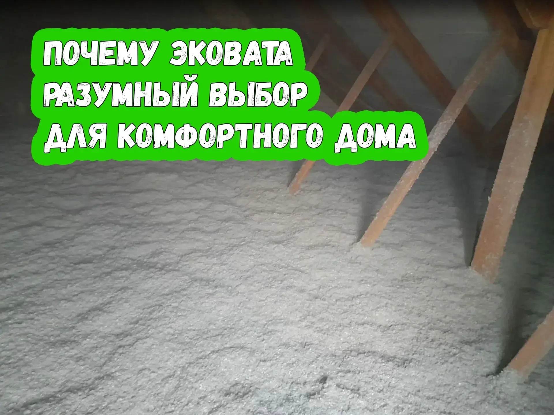 Почему эковата — это отличное вложение в будущее дома