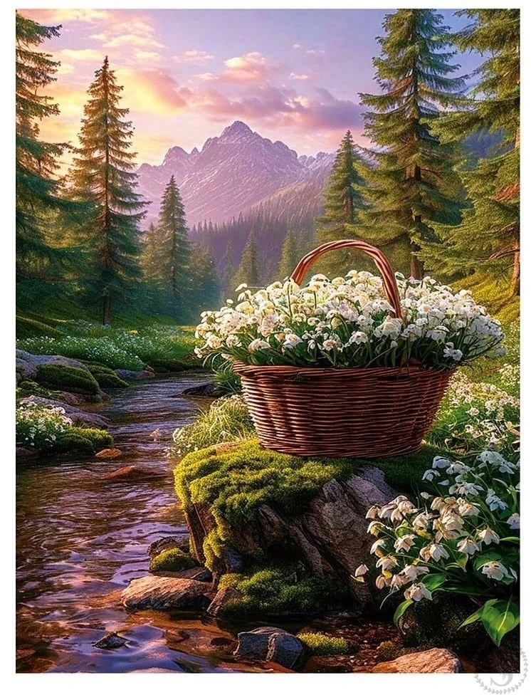 https://vk.com/photo-184814919_492832211