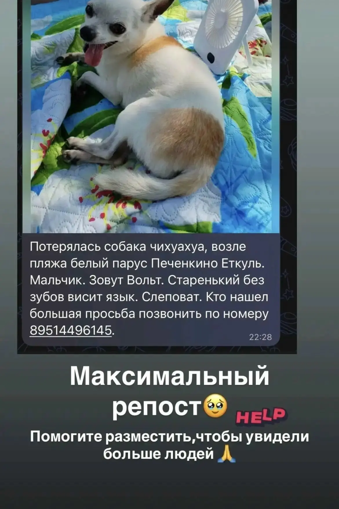 Нашедшему позвонить хозяину