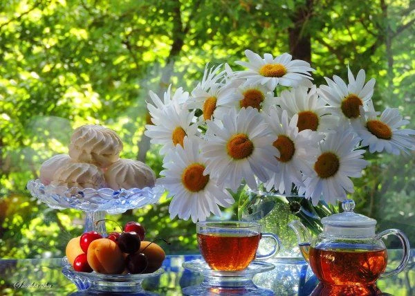 Доброе утро, дорогие подписчики! 🌸
Пусть этот день принесёт вам радость, приятные новости и желание