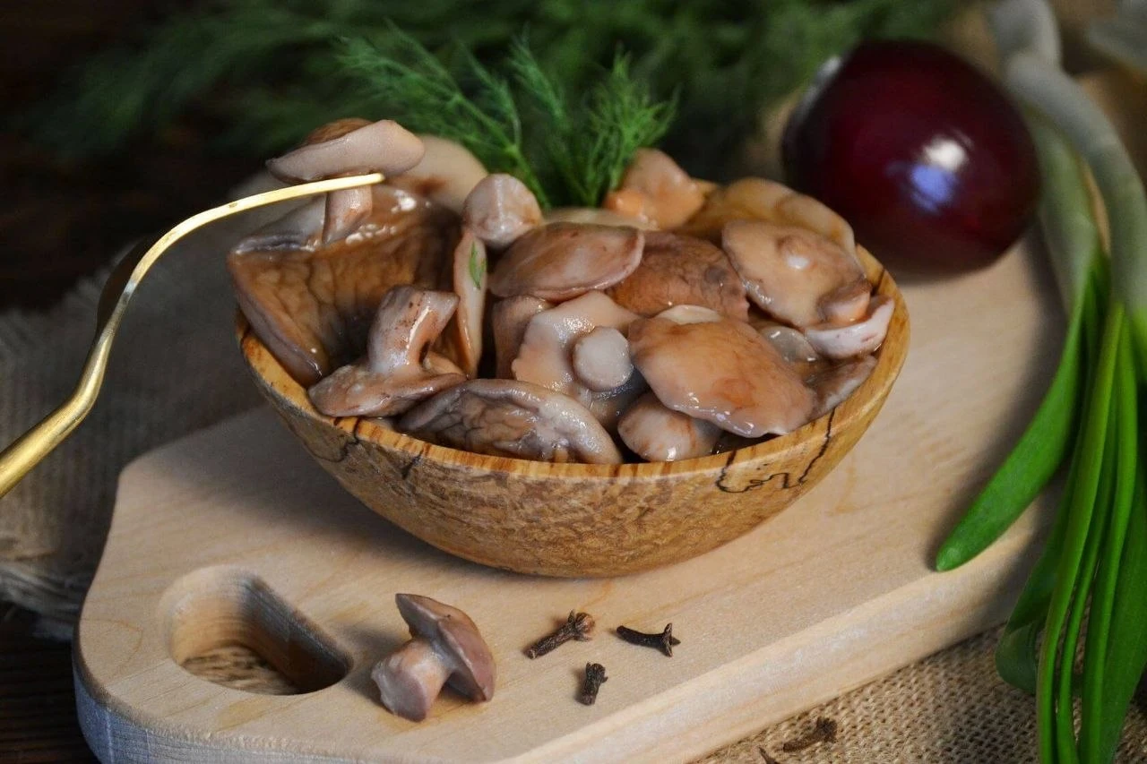 Солёные маслята 🍄‍🟫