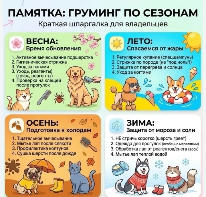 💥Груминг по сезонам: краткая шпаргалка