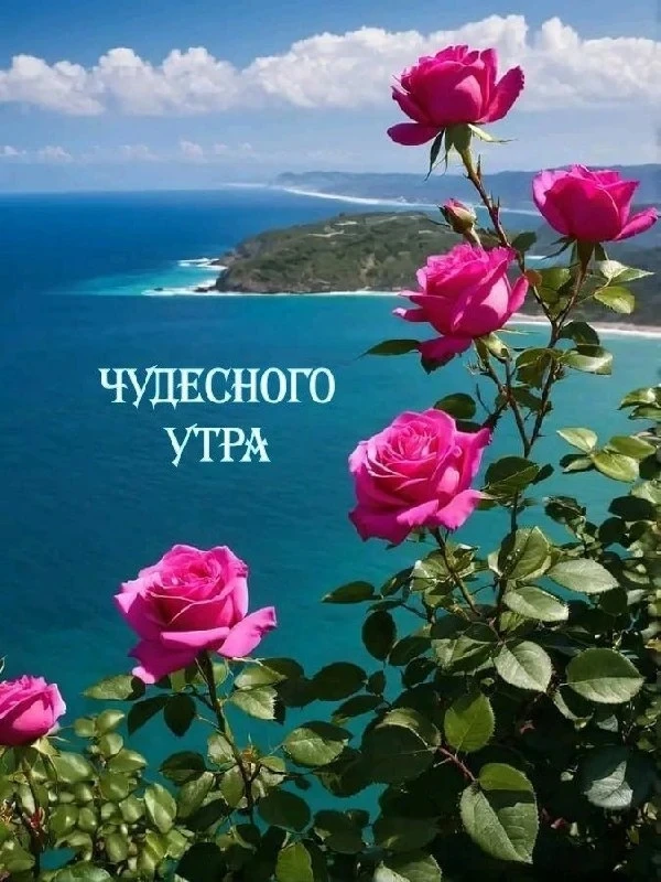 🩵🩷🌿🩵🩷🌿🩵🩷🌿

Пусть каждое новое утро несёт каждому из вас только Божью милость и благодать, р