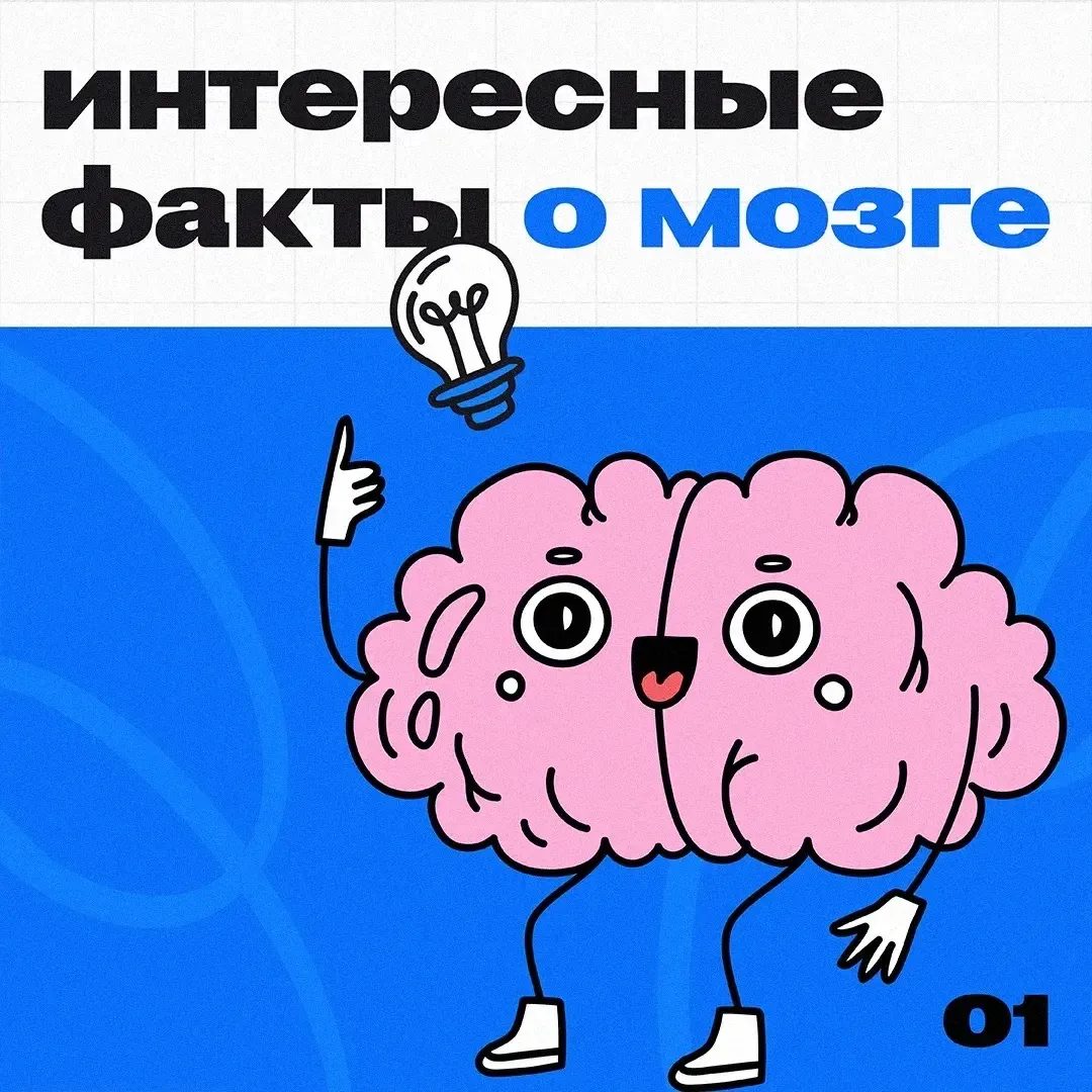 🧠 Мозг — самый загадочный орган в нашем теле. Многие даже не подозревают, на что он способен: делим
