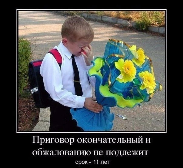 С днем знаний🧰