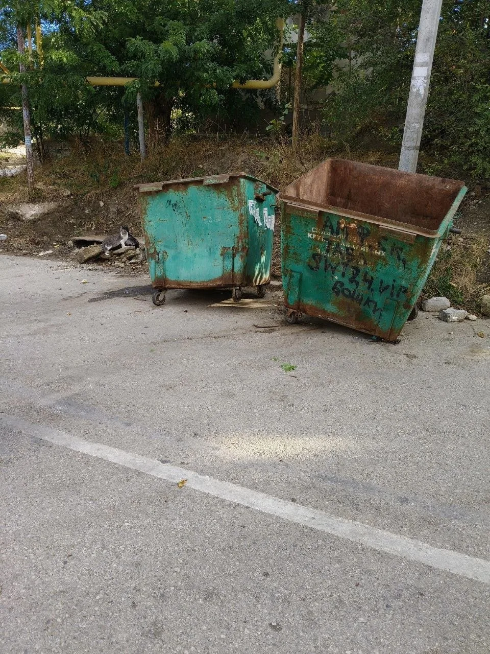 🗑️ Жительница Керчи пожаловалась на состояние мусорных баков на перекрестке улиц Желяб...