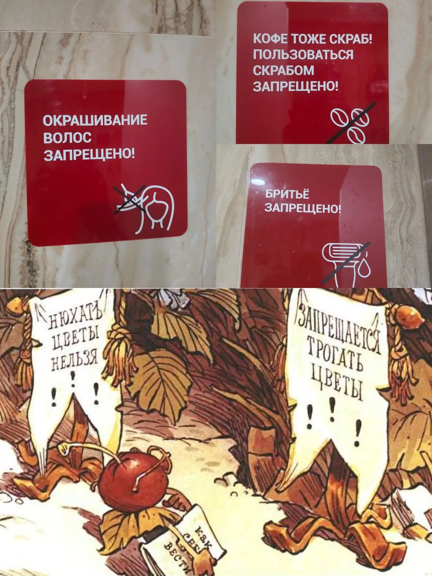 Ходила сегодня в бассейн и в душе в очередной раз любовалась на "запрещалки"😜 И наконе...