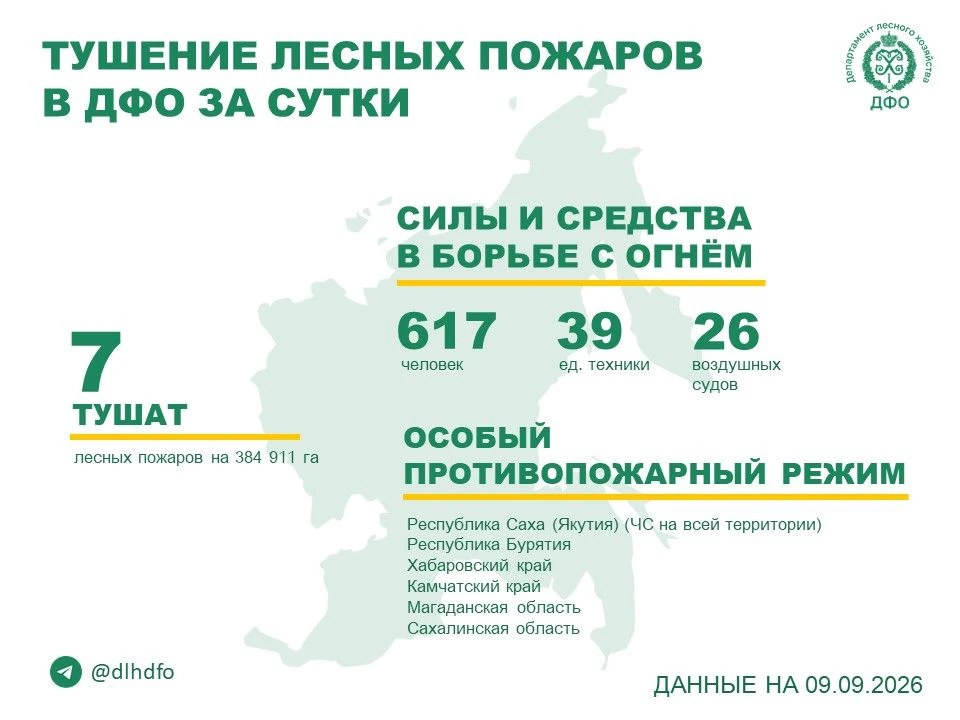 🧑‍🚒За прошедшие сутки в регионах ДФО продолжается тушение 7 лесных пожаров.