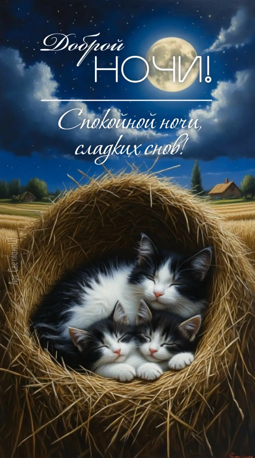 💞Красивые открытки💞
👉Подписаться👈