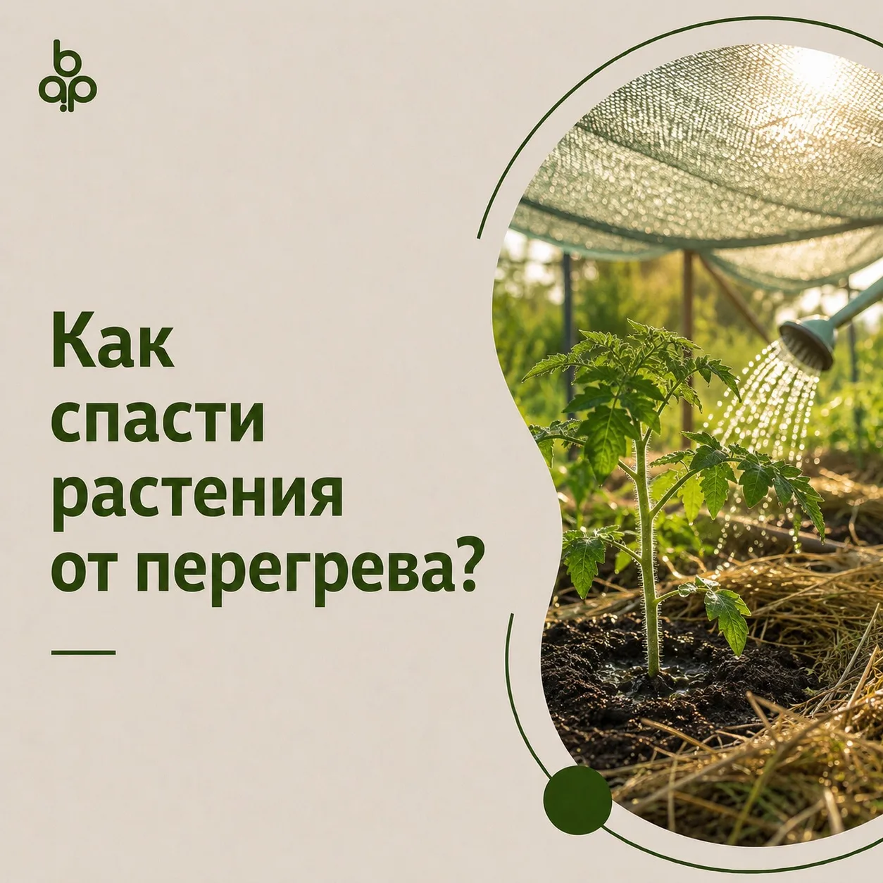 🌞 Летняя жара — настоящее испытание для сада и огорода. Даже при регулярном поливе рас...