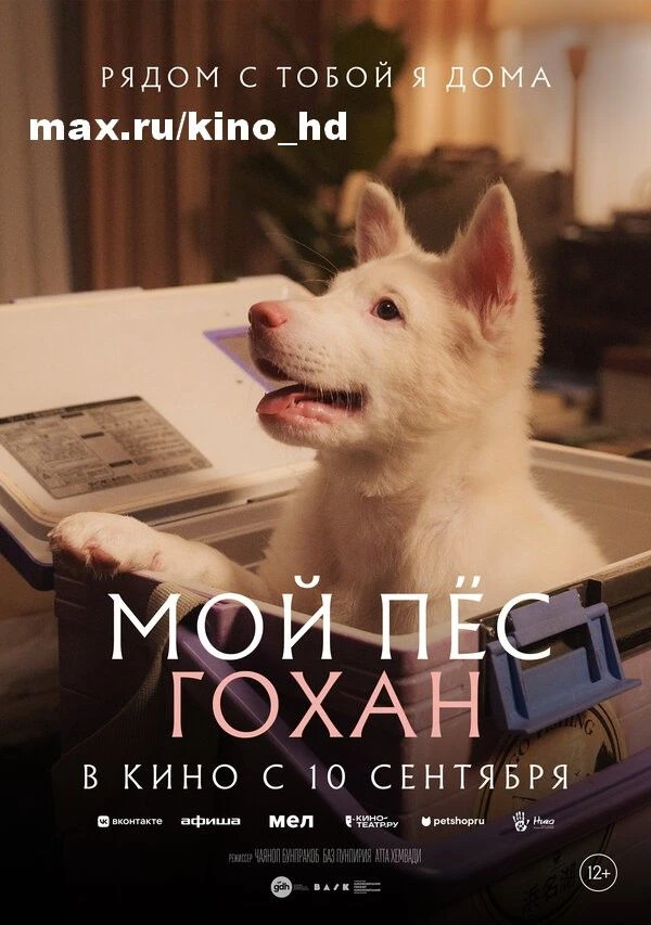 Мой пёс Гохан (2026)