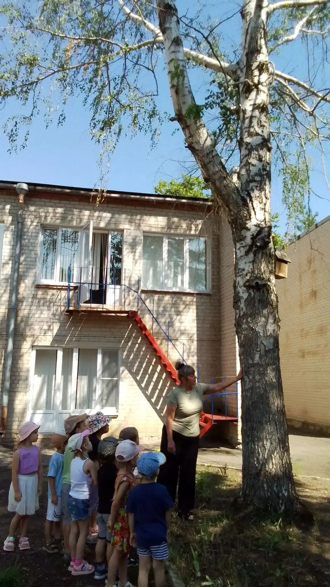 24 июля в средней группе, прошёл тематический день-" День берёзы ". Дети рассмотрели иллюстрации с и
