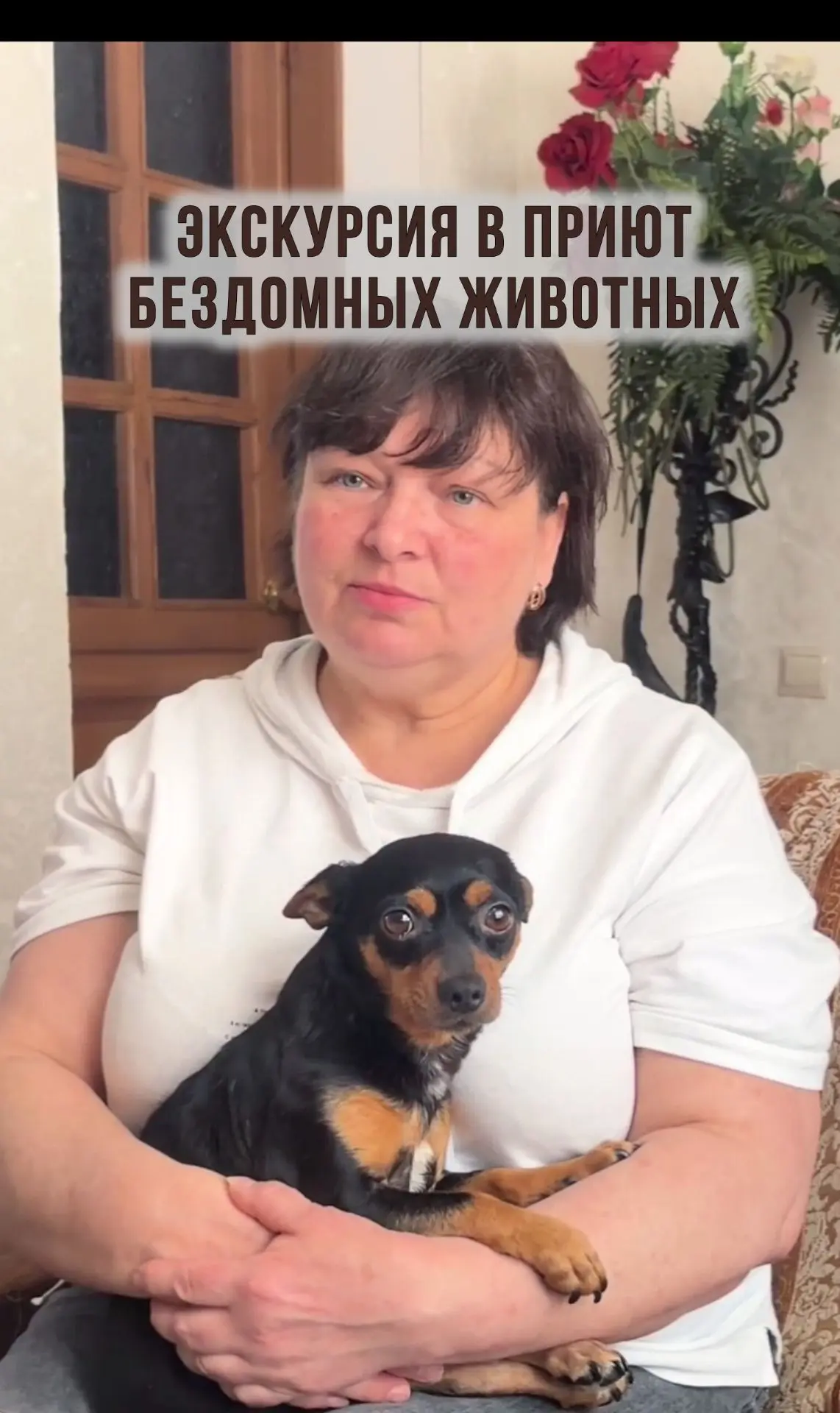 ВСЕМИРНЫЙ ДЕНЬ БЕЗДОМНЫХ ЖИВОТНЫХ сотрудники Дома Культуры станицы Некрасовской провели...