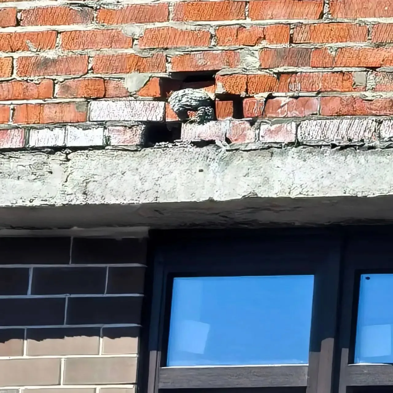 «Как вам такое качество домов в нашем любимом Самолёте?»