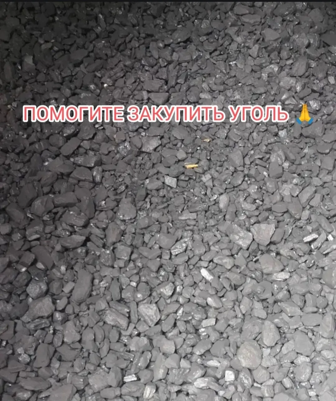 Друзья! Наступают холода🤦‍♀️Мы так и не собрали даже на 1 тонну, тк были другие срочны...