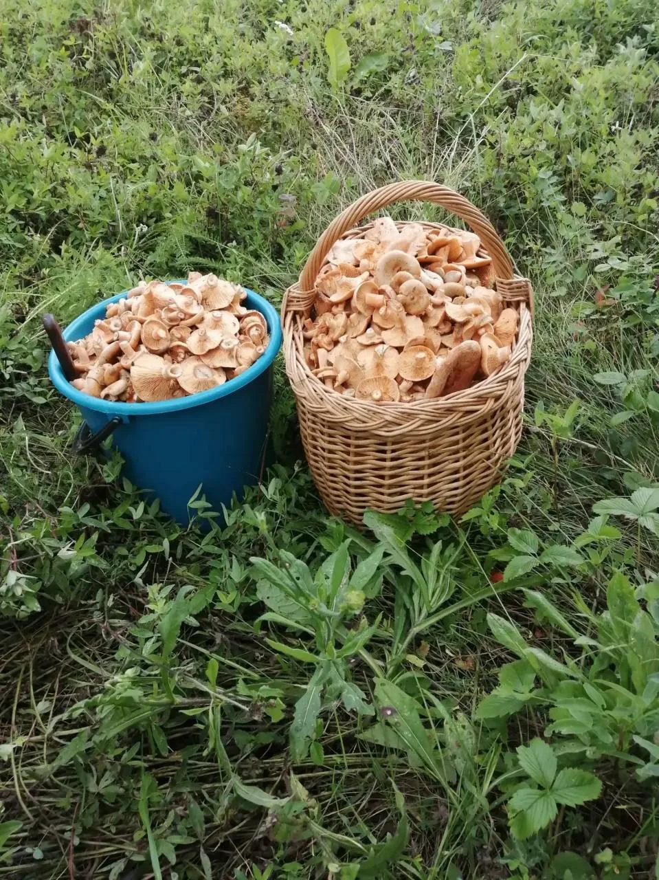 От подписчика: