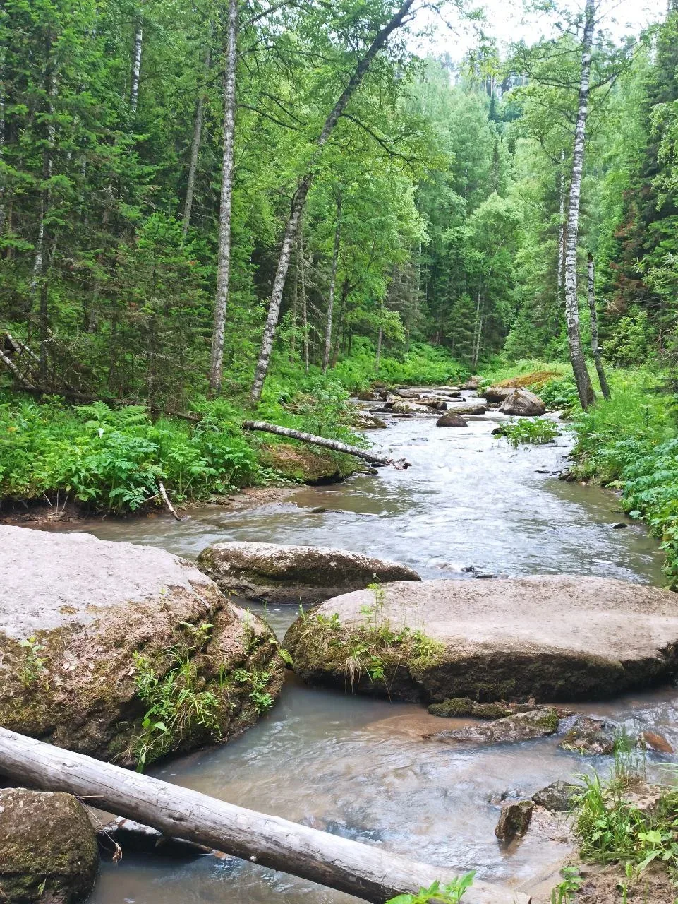 Доброе утро, Белокуриха! 🌿

Сегодня, 15июня, в Белокурихе облачно с прояснениями, днем +26, ночью +