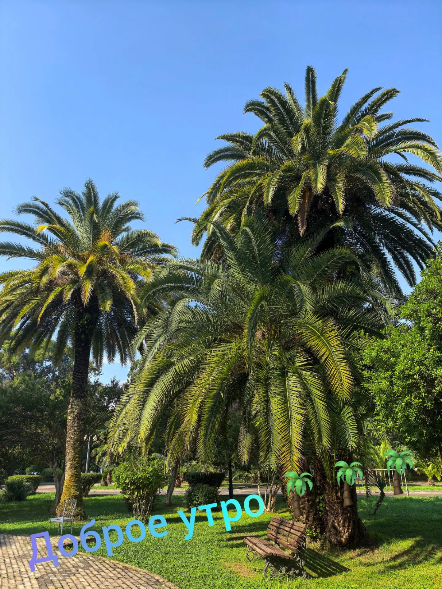 Доброе утро!  ⛱️🌴