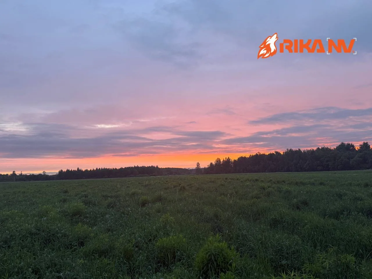 Начинаем наш день уже по традиции с летнего утра!🌅