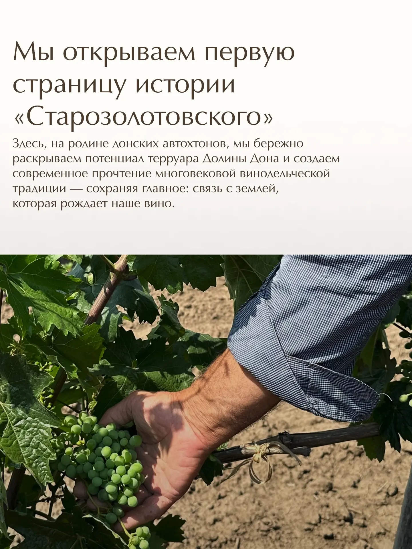 Есть места, где история не уходит в прошлое – она продолжает жить в земле, в лозе, в лю...