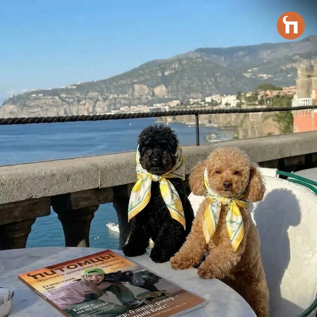 ✈️И еще немного про путешествия

Вопрос дня: нужно ли оформлять два пакета документов, если летите с
