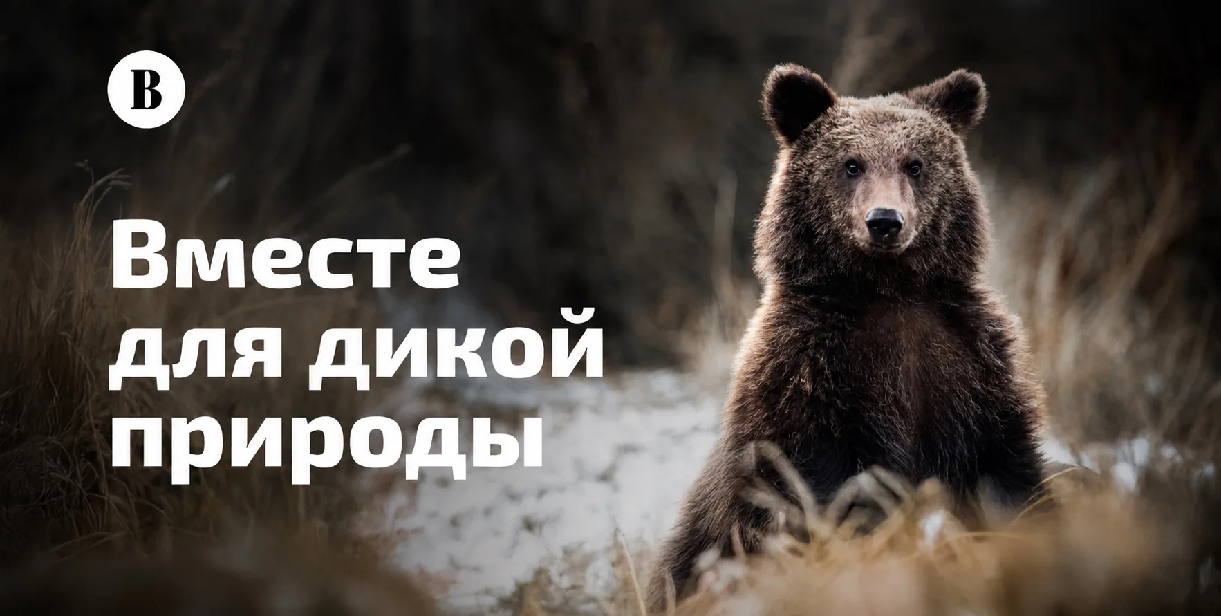 Проект «Вместе для дикой природы» сохранит незаметных редких животных