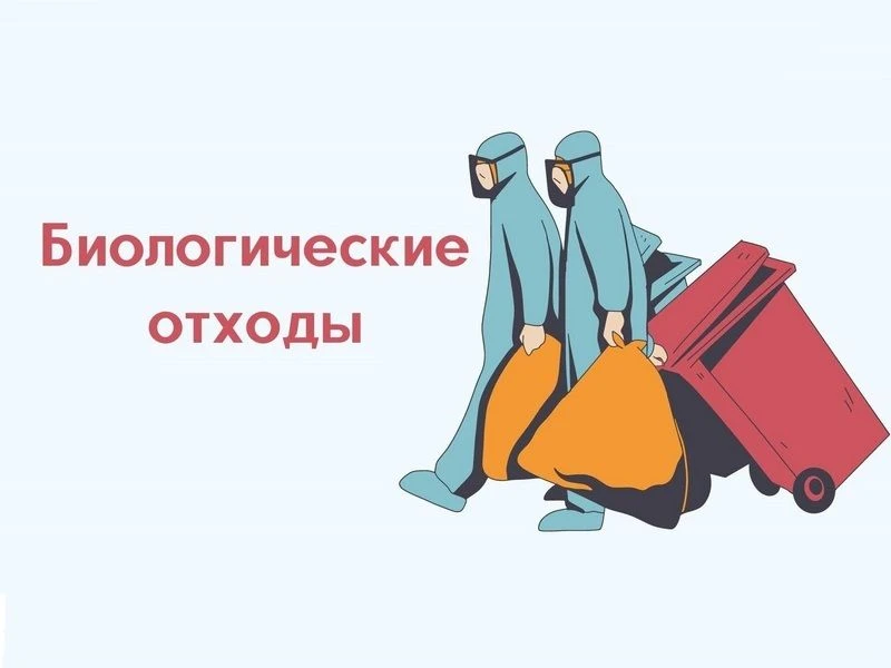 Утилизация биологических отходов в ветеринарии: комплексный подход к профилактике и безопасности
Вет