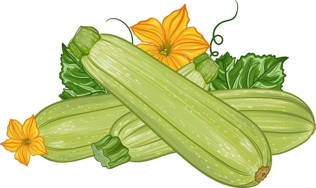 ☀️ КОРОЛЬ ЛИМФОДРЕНАЖА: КАК КАБАЧОК СПАСАЕТ ОТ ЛЕТНИХ ОТЕКОВ 🥒

Вторая половина июня балует нас жар