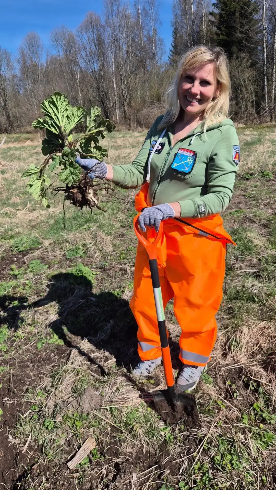 🌱 В Гладышевском заказнике волонтеры за три дня выкорчевали почти 1200 кустов борщевика  В Гладышевс