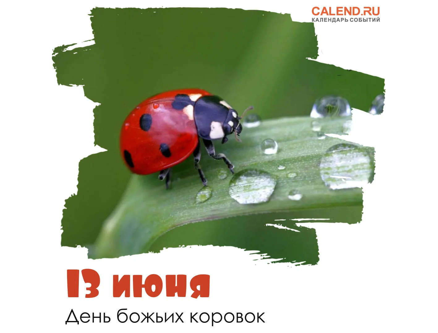 ⁉️А вы знали, что 13 июня отмечается День божьих коровок🐞🐞🐞 ? Это  неофициальный праздник, посвящ