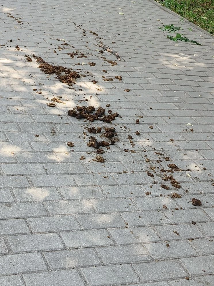 Подписчица пишет: 
"Доброго времени. Опубликуйте пожалуйста. 🙏 Негодование, просто нет слов.. Прошо