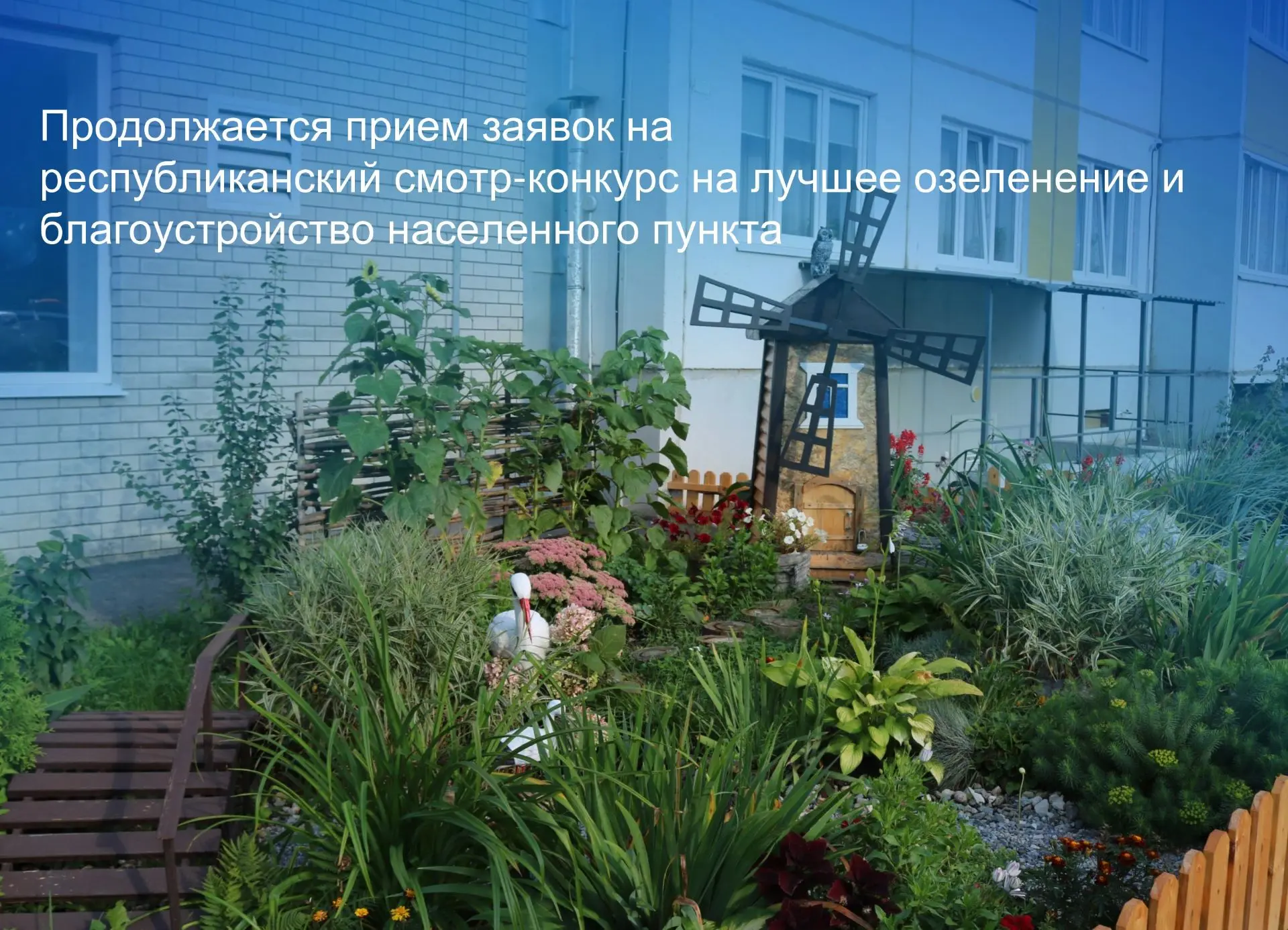 Продолжается прием заявок на республиканский смотр-конкурс на лучшее озеленение и благо...
