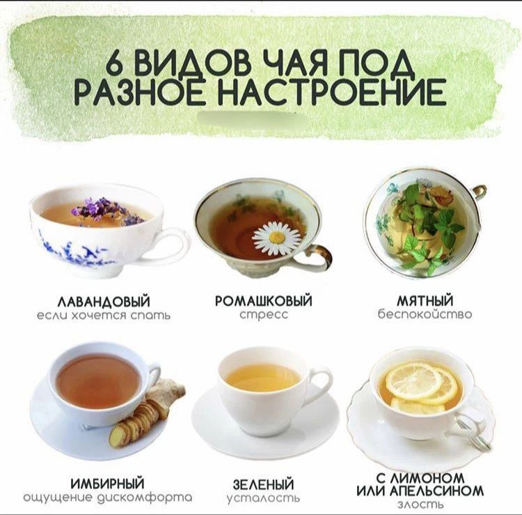 🍵Шесть видосов чая под разное настроение!

🌿Травник