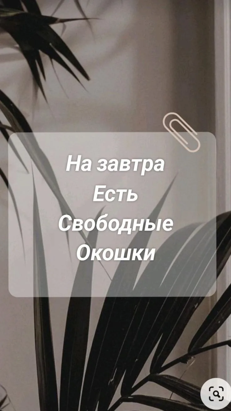 Завтра 08.08 есть свободные окошки🌸