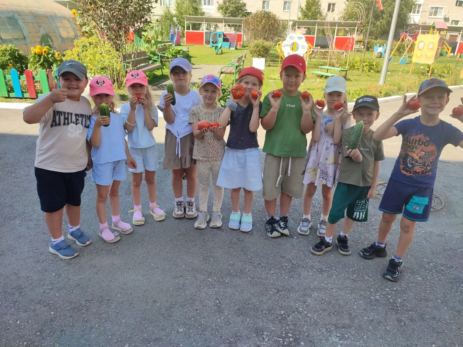 🍅🥒🥕🥬Ребята подготовительных групп собирают выращенный своими силами урожай👍👍👍
