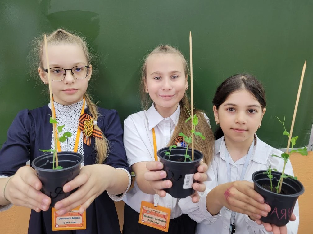 🌱 Юннатский клуб "Панда" продолжает изучать природу. В это раз ребята запустили интересный проект — 