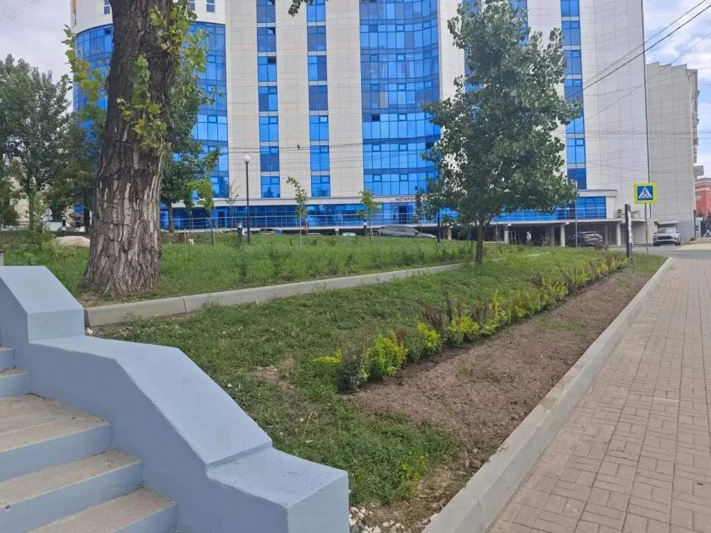 ❕В Курске пропавшую из сквера сирень спасают в теплице

На этой неделе куряне заметили пропажу сажен