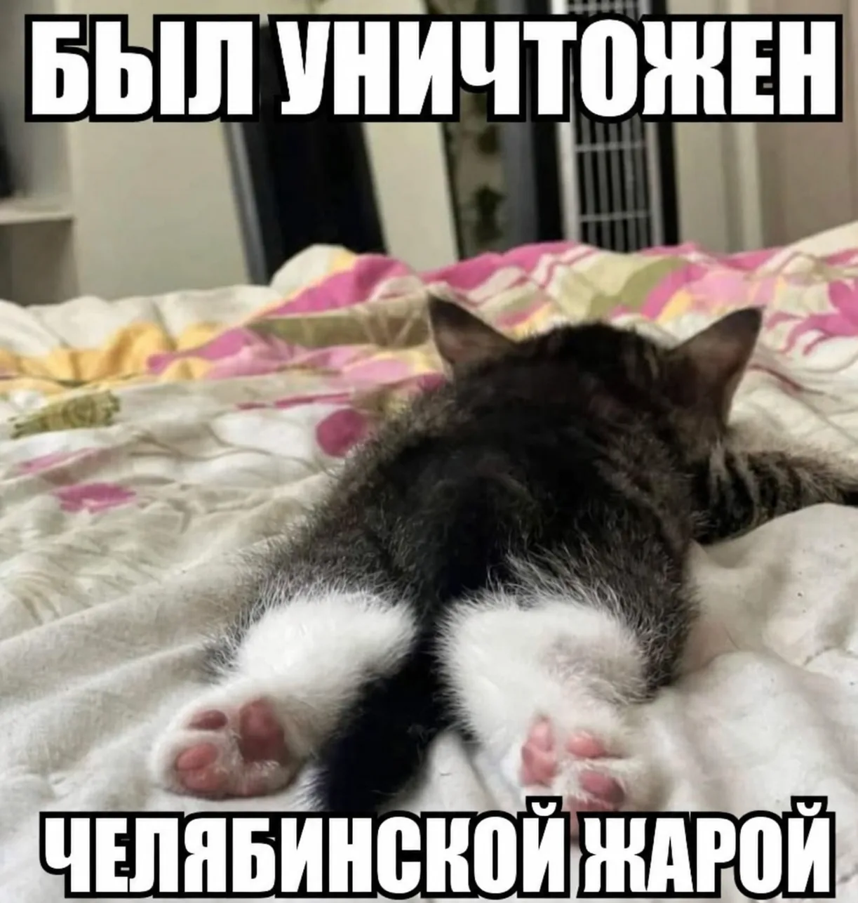 🥵 Челябинскую область раскалит до +36 градусов

В ближайшие дни регион накроет сильная жара — столб