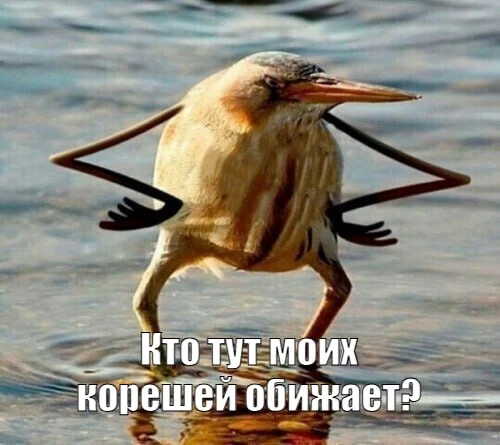 Глава Зелика Китаев обещает навести порядок с уличными фотографами, которые вымогают деньги у турист
