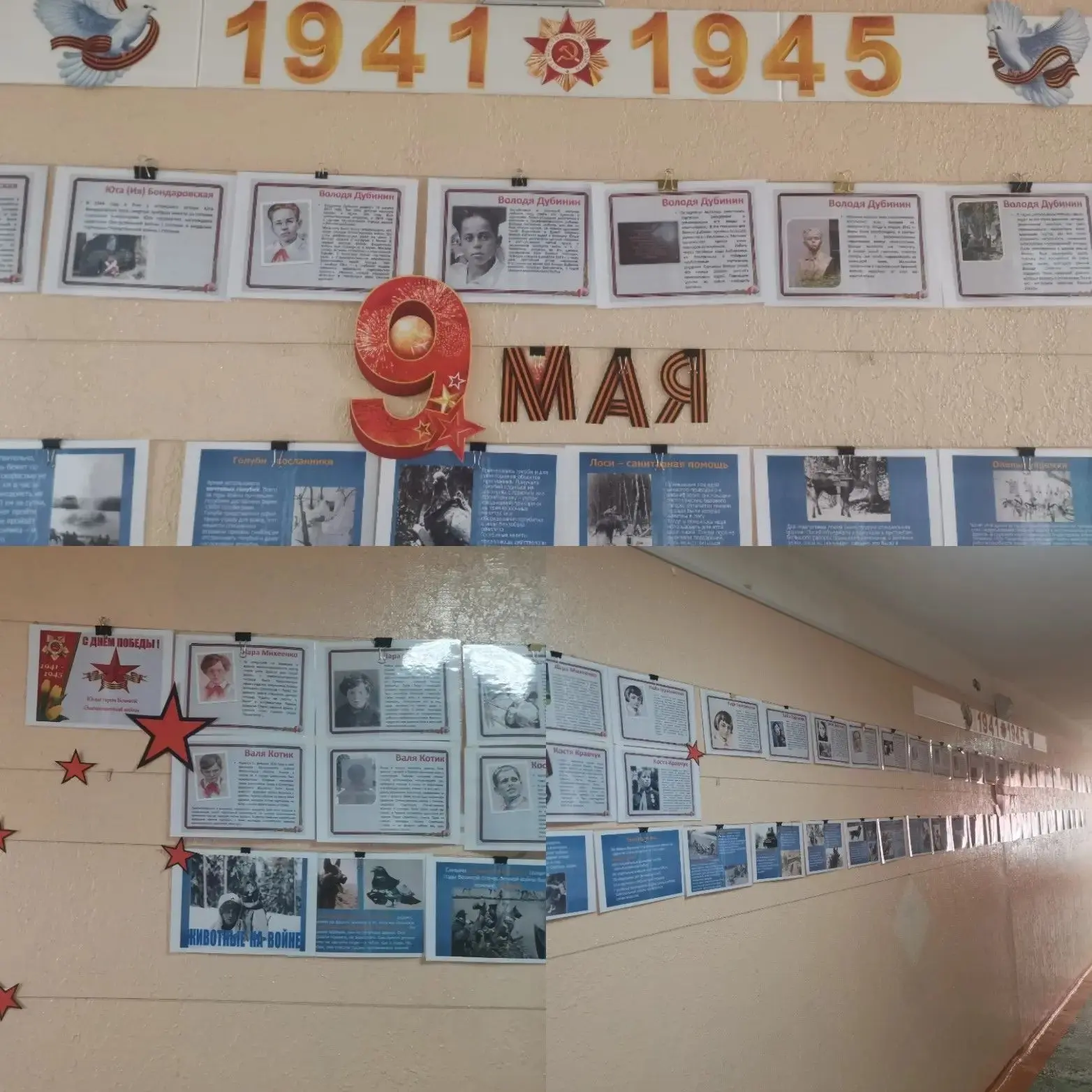 📢 Школа №68 в строю акции «Окна Победы»!   Мы поддерживаем добрую традицию и украшаем школу к 9 Мая.