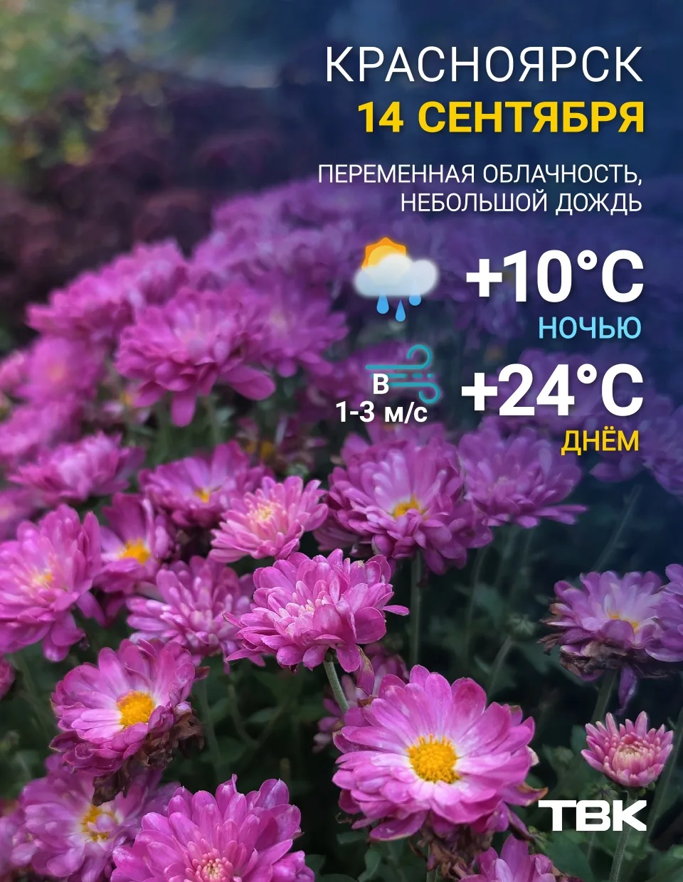 Погода на сегодня
