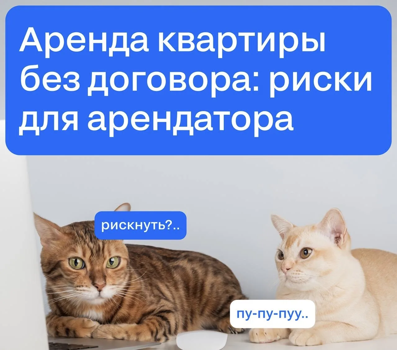 🔑 Часто квартиры снимают без договора. Однако устные договорённости не имеют юридическ...